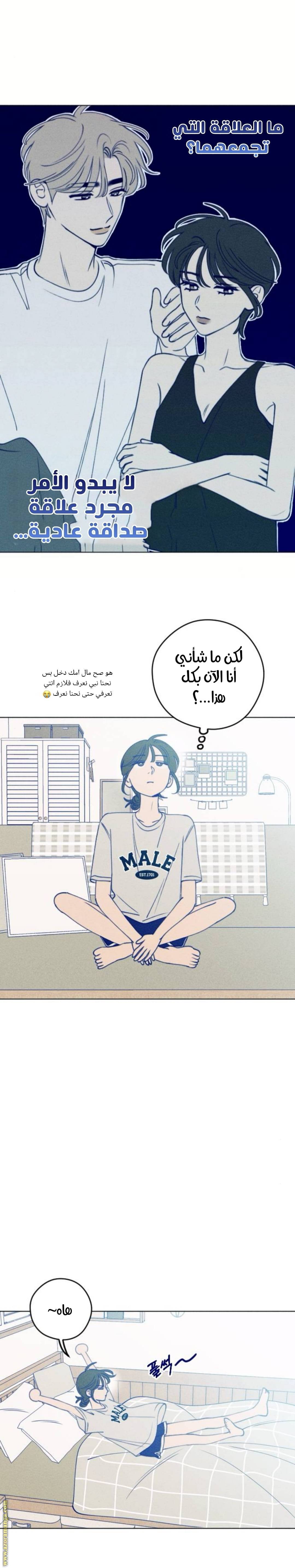 الصفحة 24