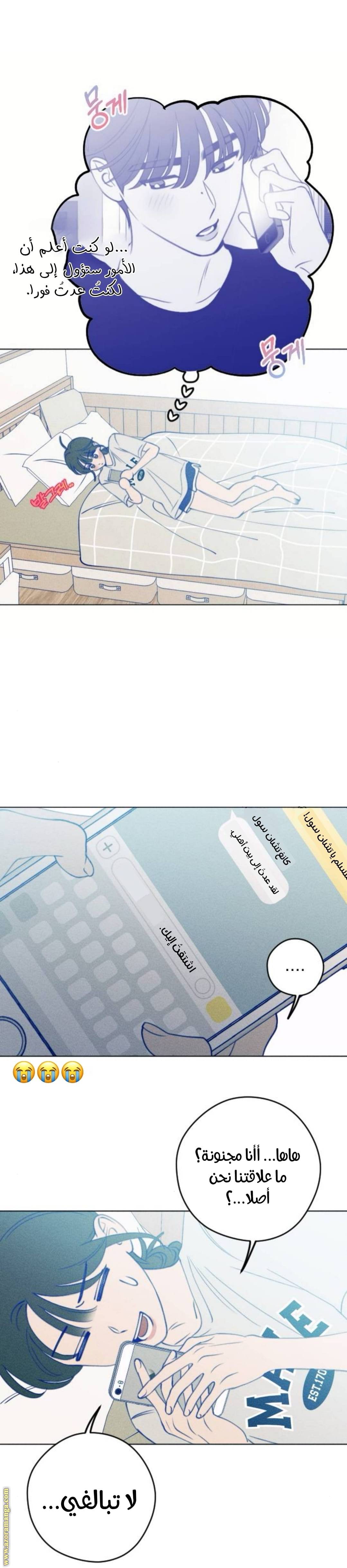 الصفحة 25