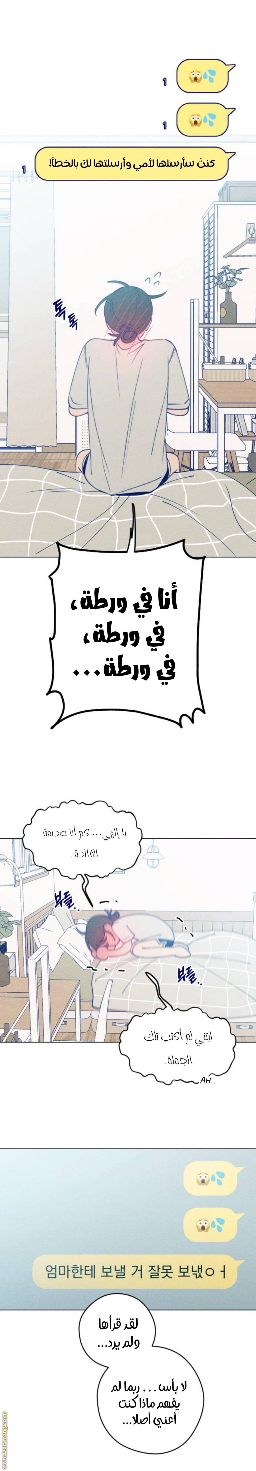 الصفحة 27