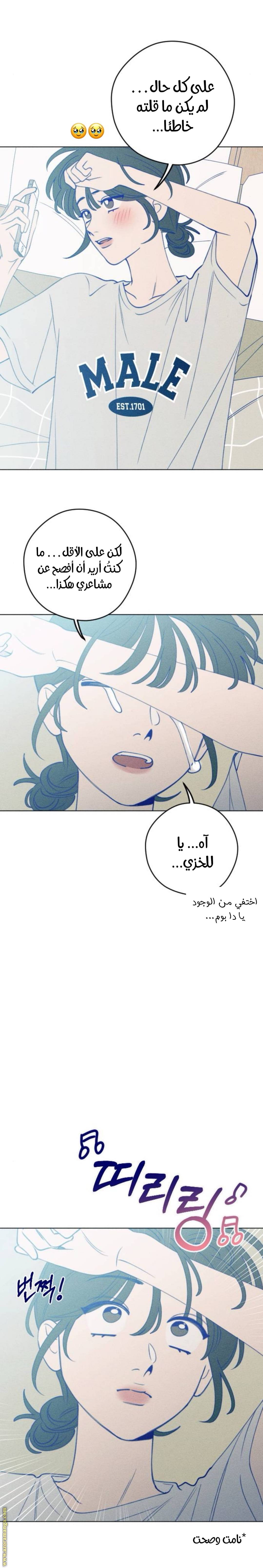 الصفحة 28