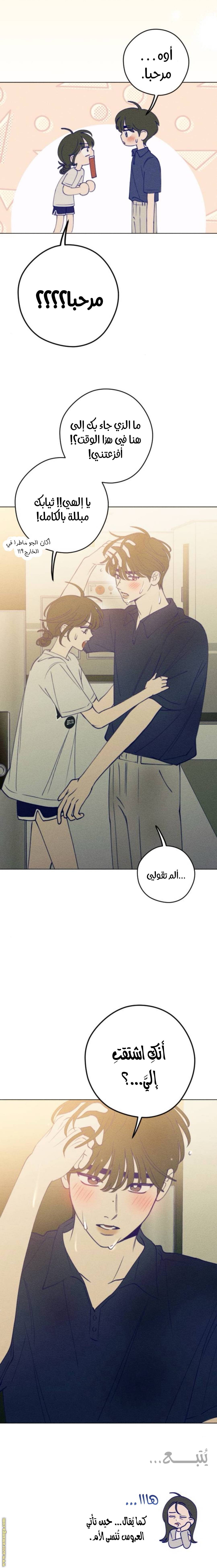الصفحة 31