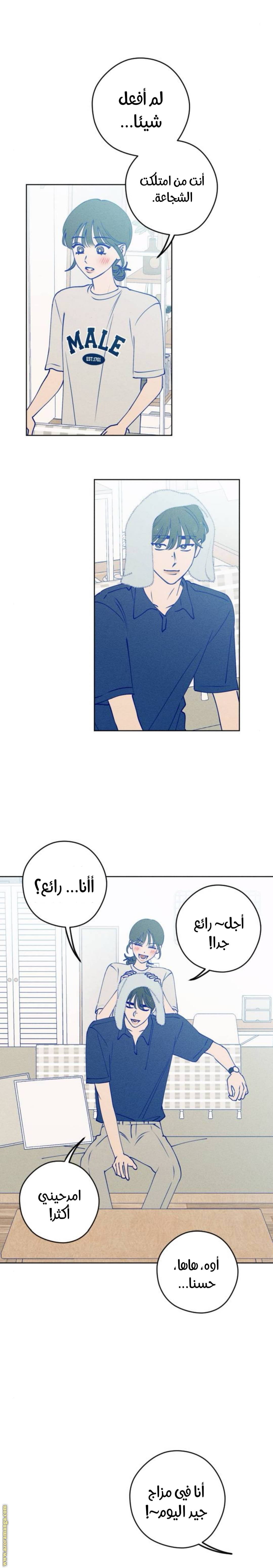 الصفحة 11