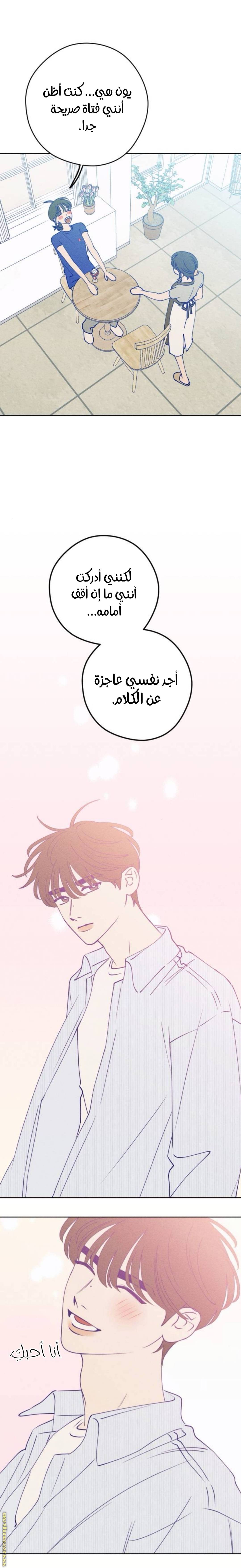 الصفحة 22