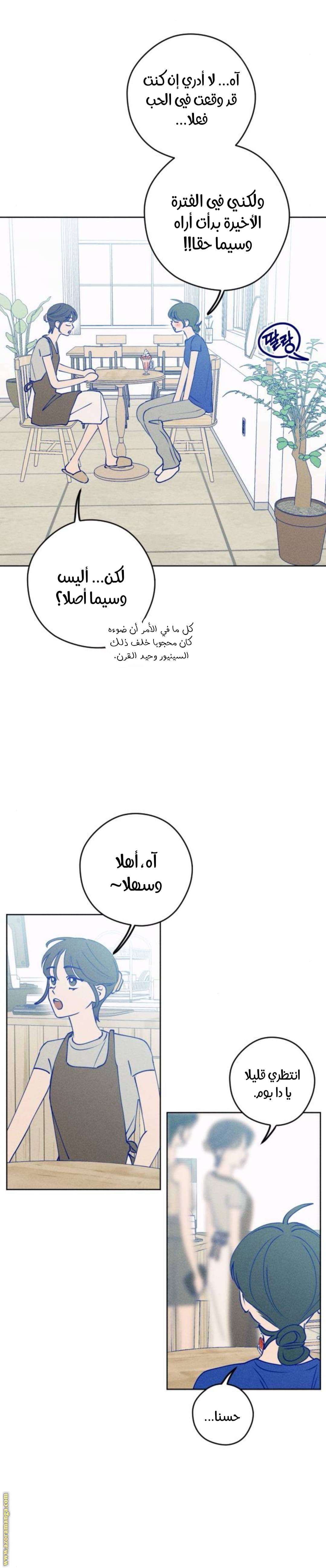 الصفحة 25