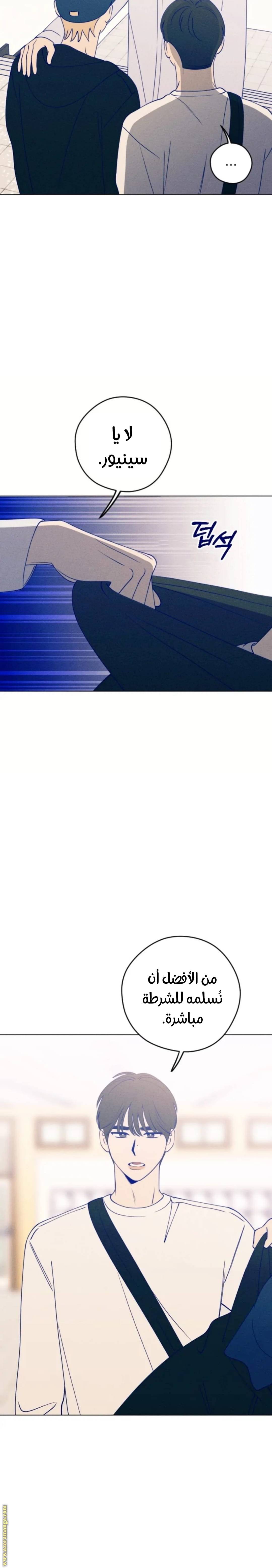 الصفحة 12