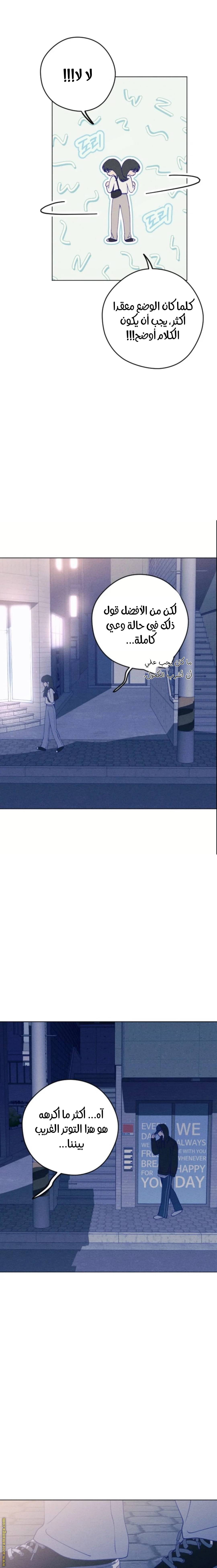 الصفحة 17