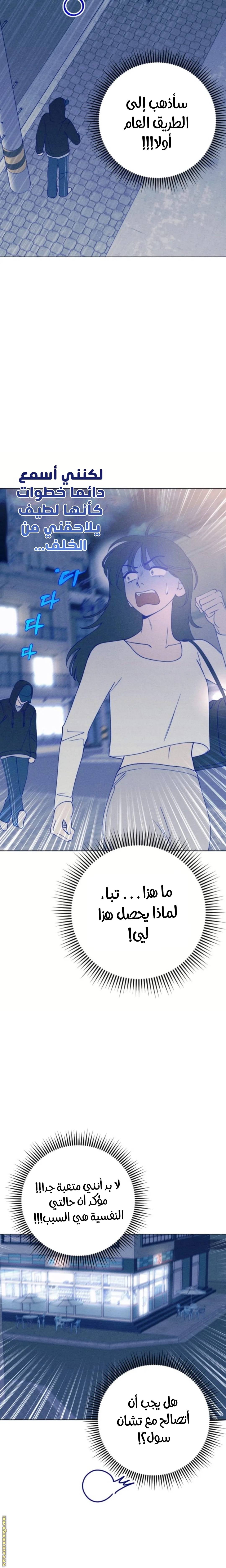 الصفحة 21