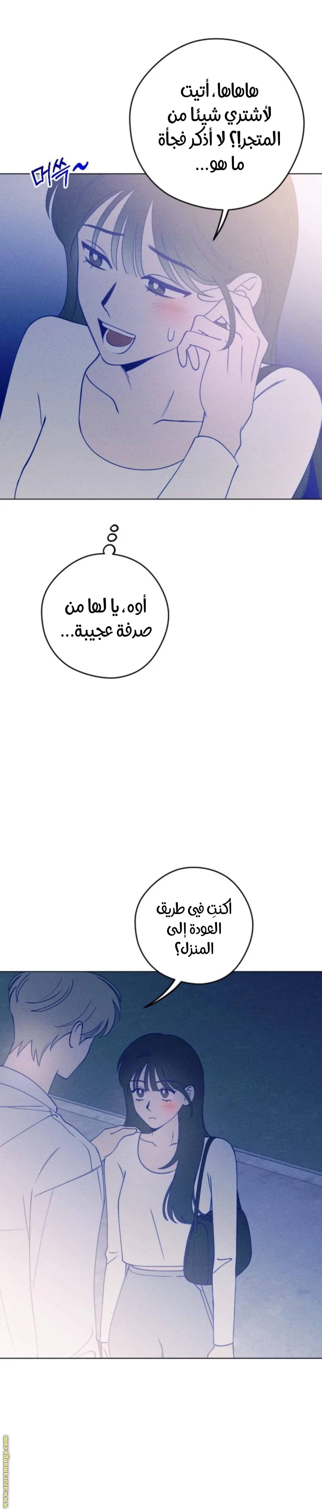 الصفحة 25