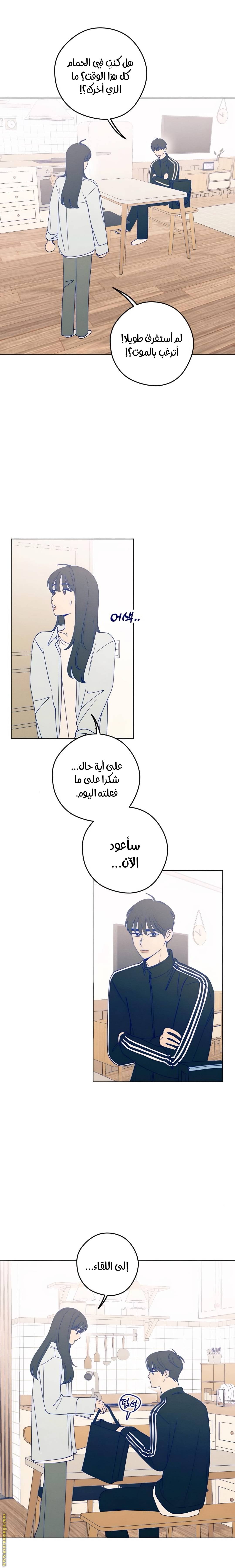 الصفحة 13