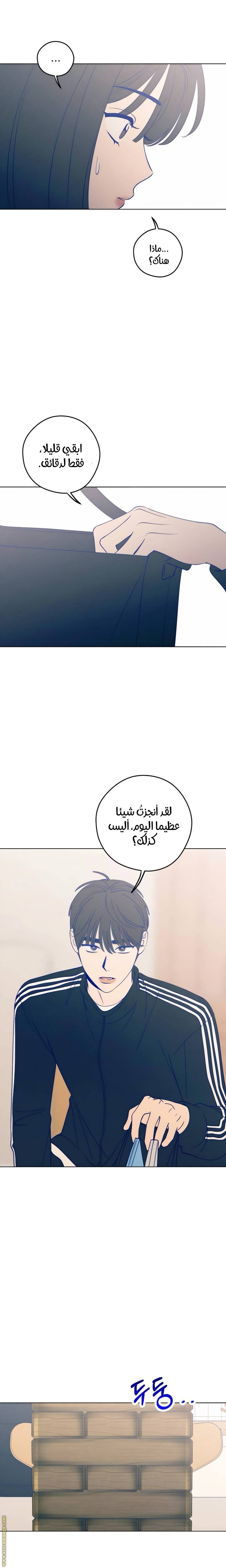 الصفحة 14