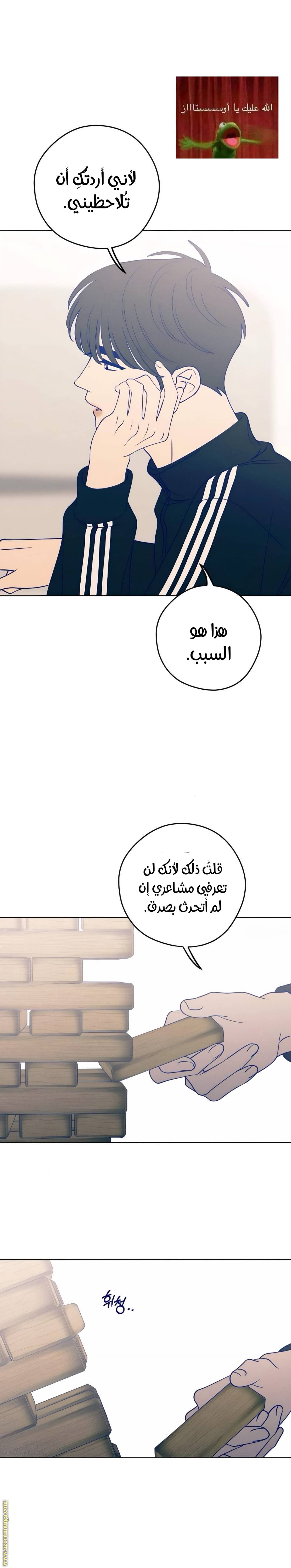 الصفحة 19