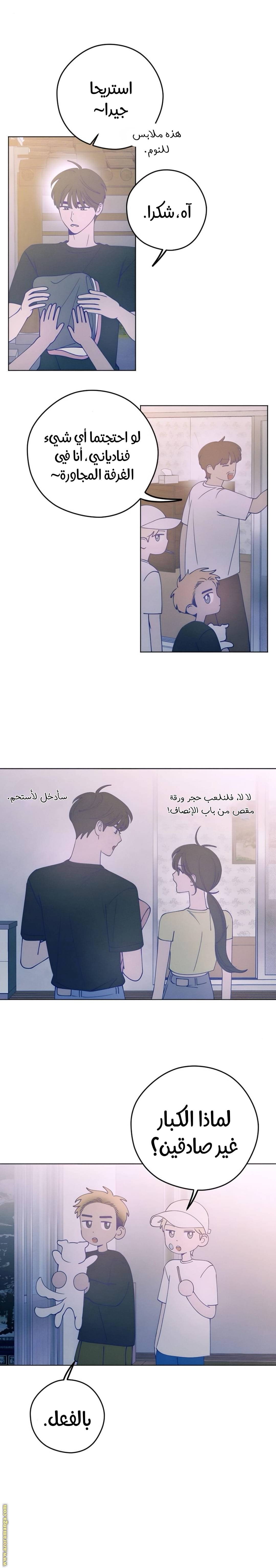 الصفحة 13