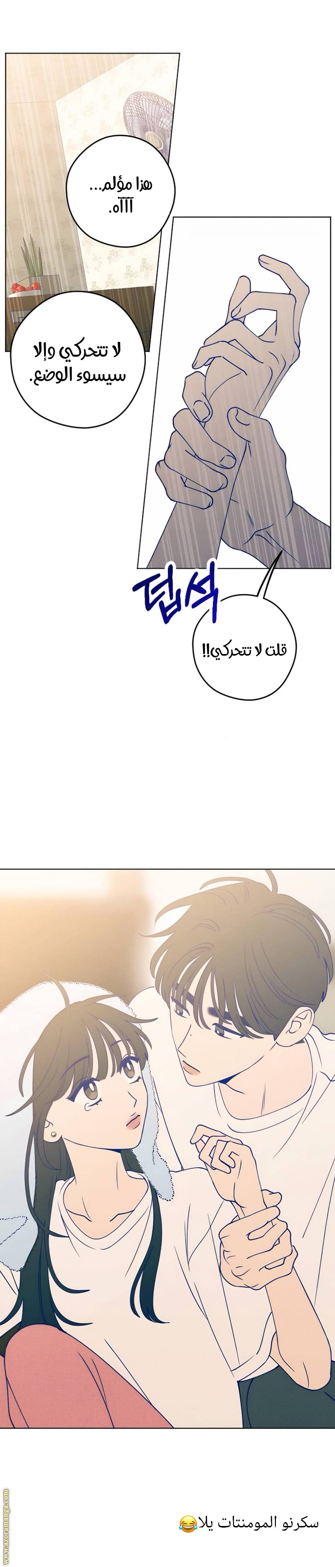 الصفحة 22