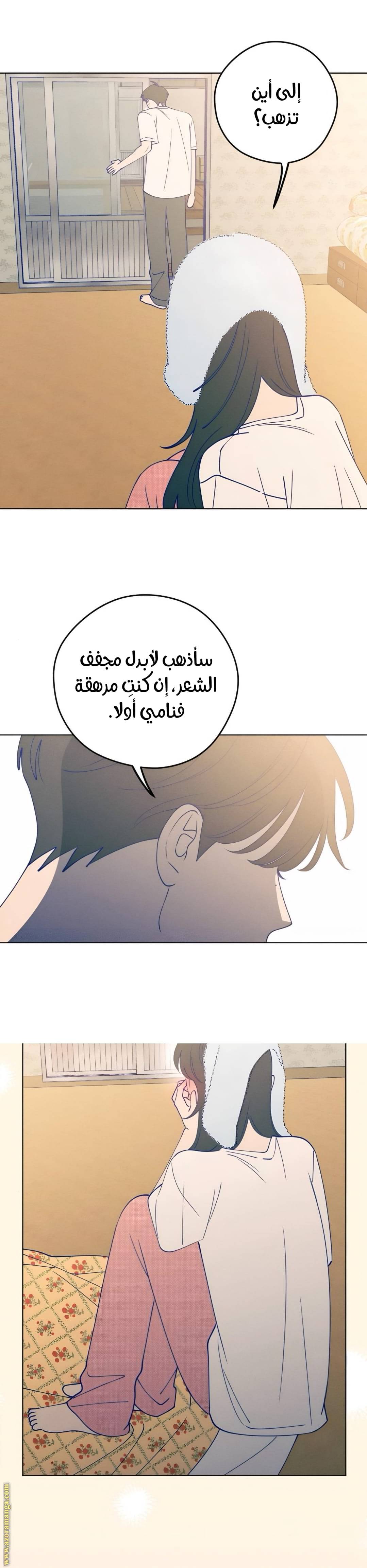 الصفحة 25
