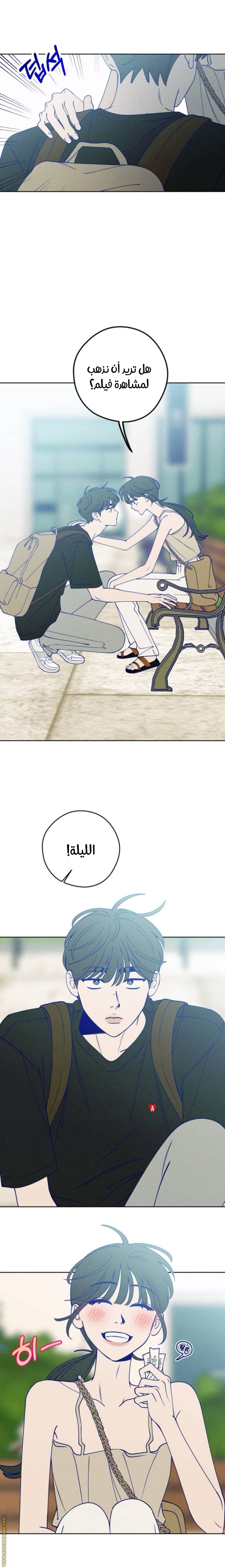 الصفحة 11