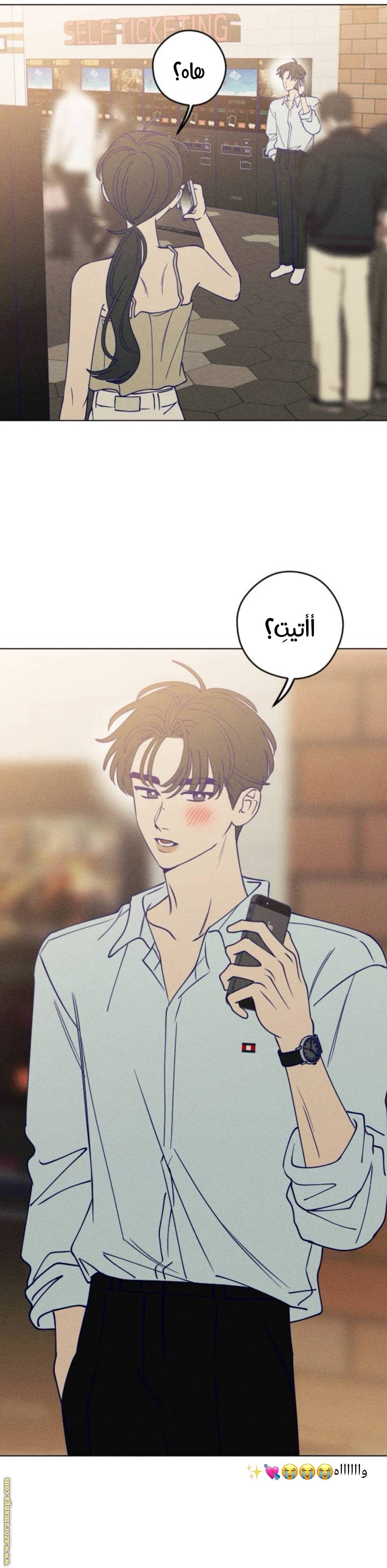 الصفحة 14