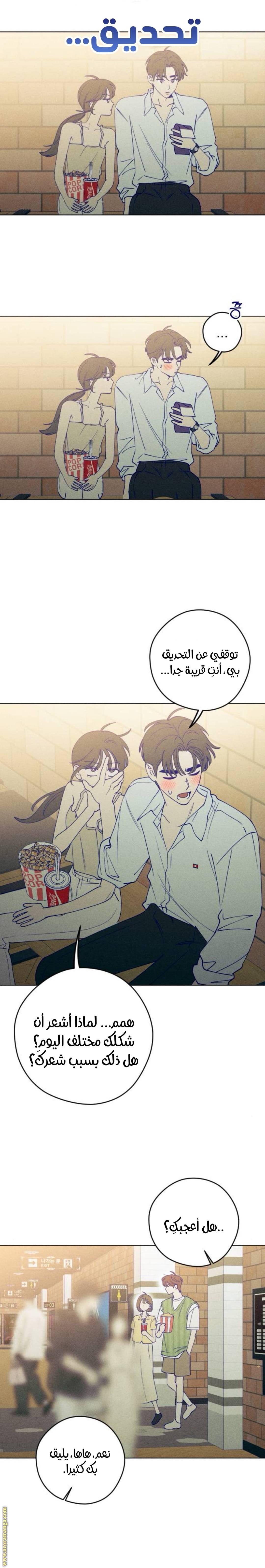 الصفحة 19