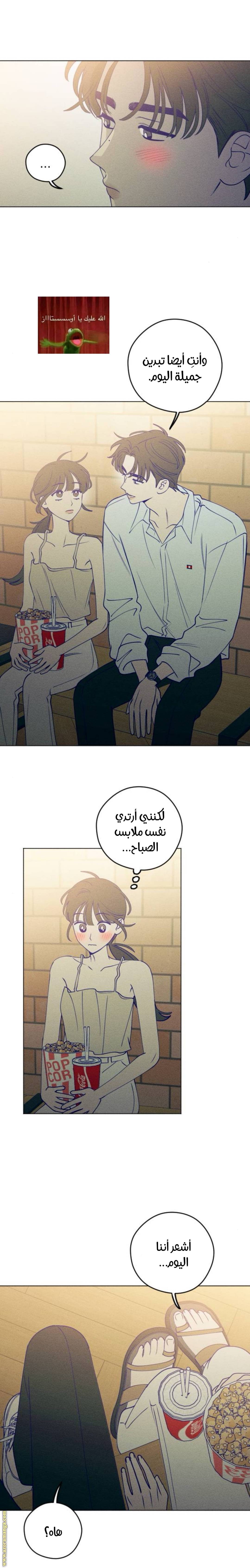 الصفحة 20