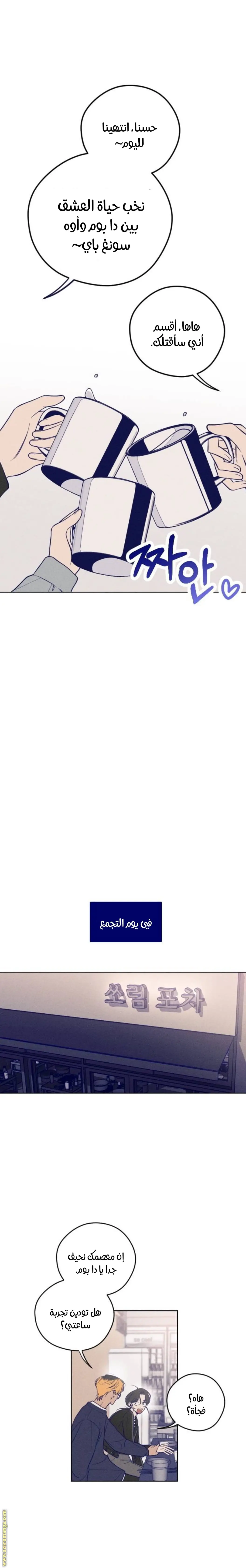 الصفحة 15