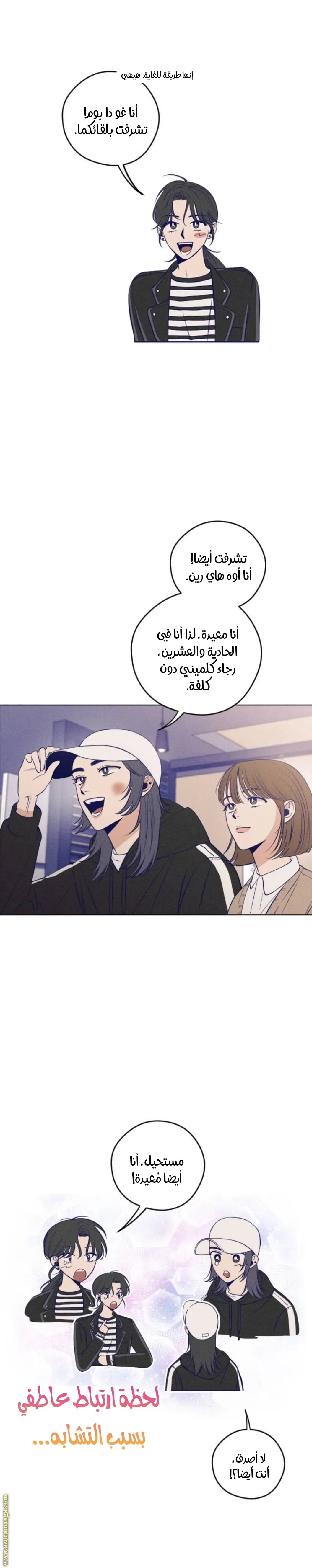 الصفحة 17