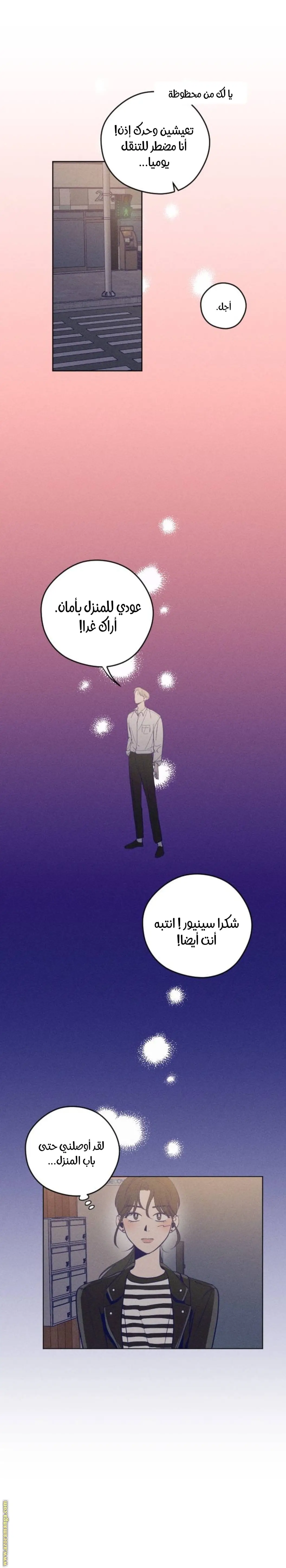 الصفحة 31