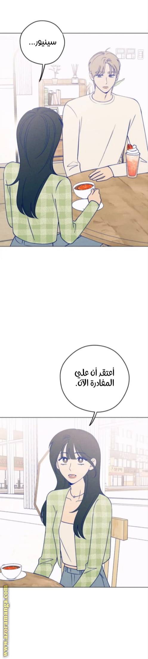 الصفحة 17