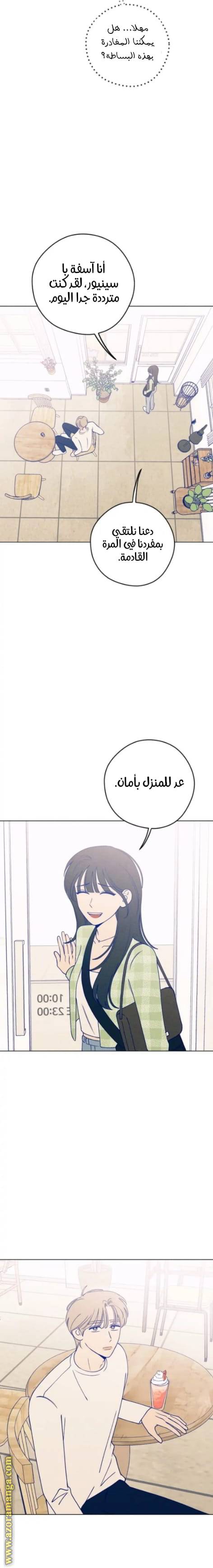 الصفحة 19