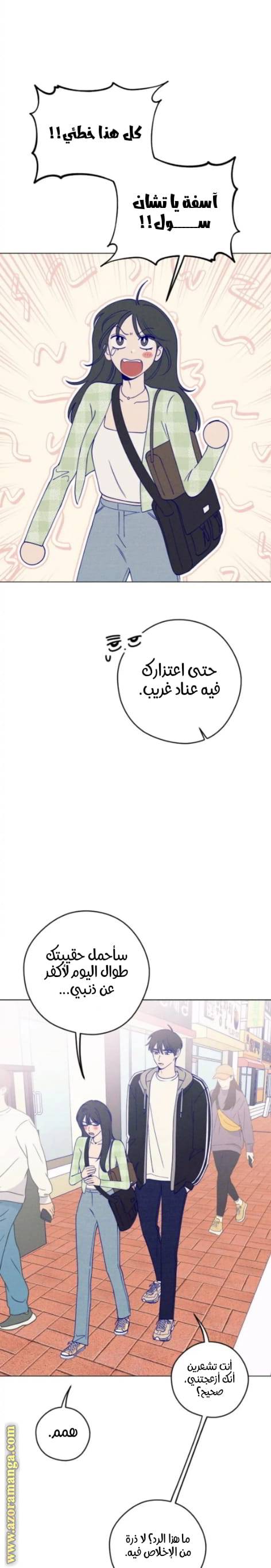 الصفحة 22