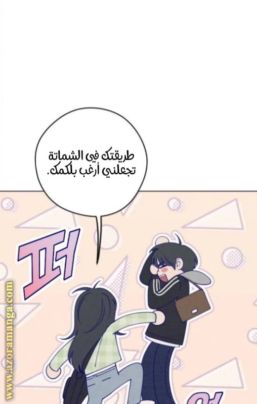 الصفحة 26