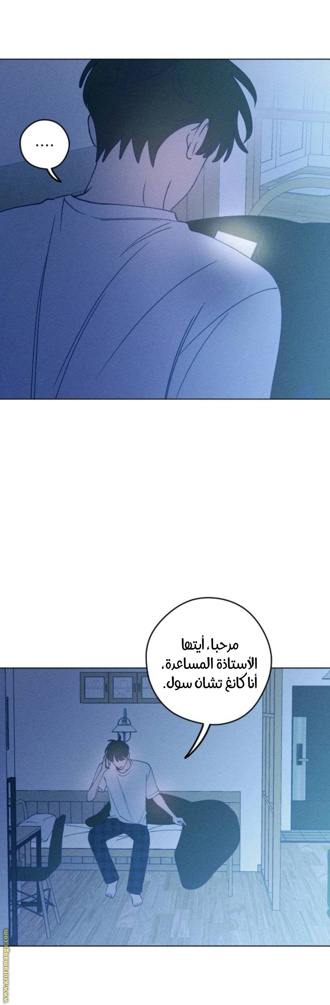 الصفحة 12