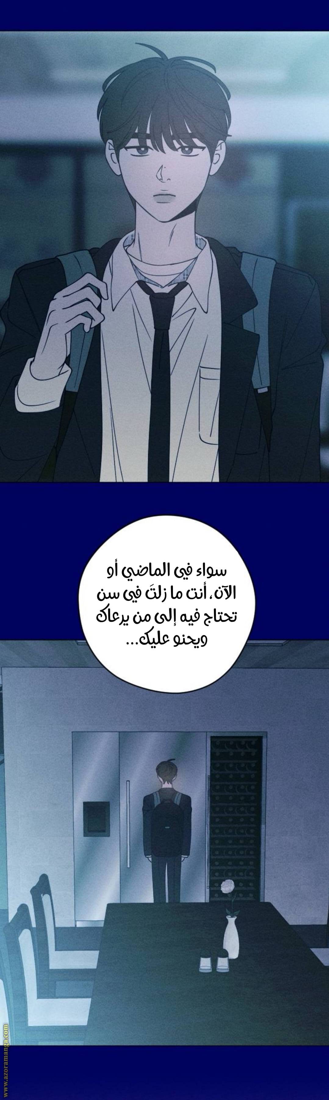 الصفحة 19