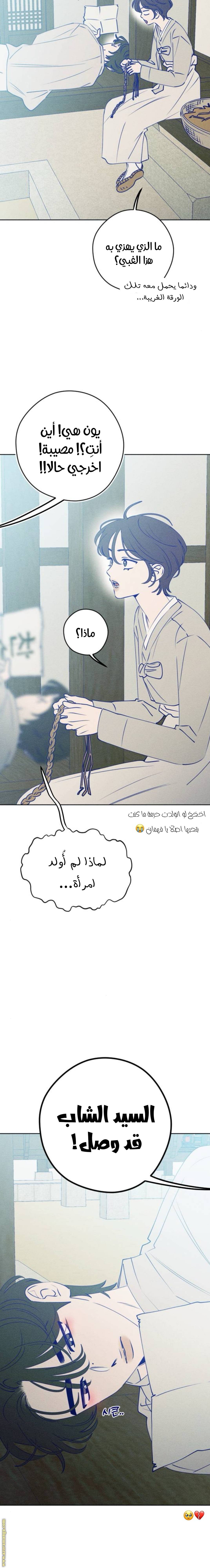 الصفحة 22