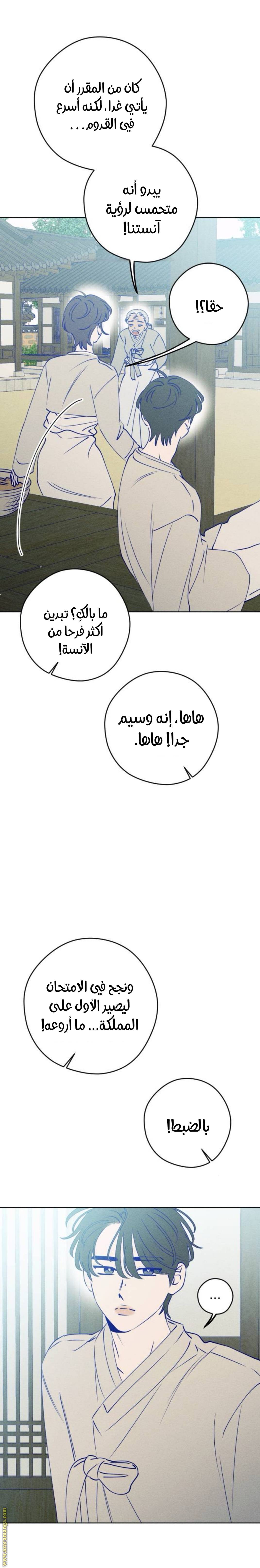 الصفحة 23