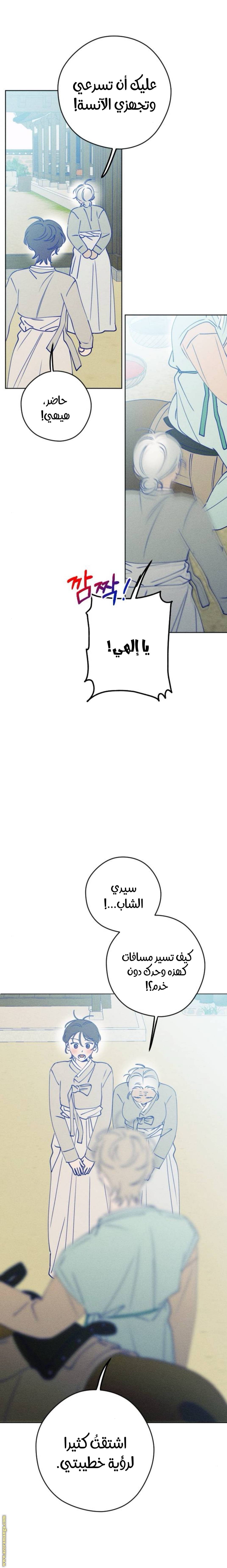 الصفحة 24