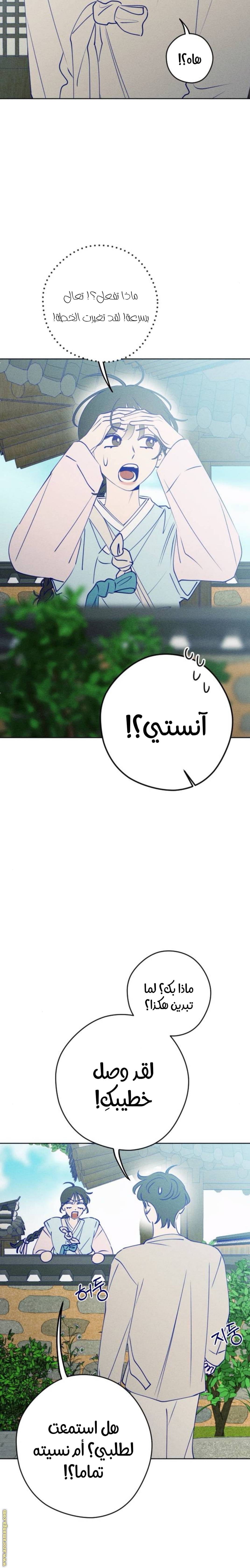 الصفحة 26
