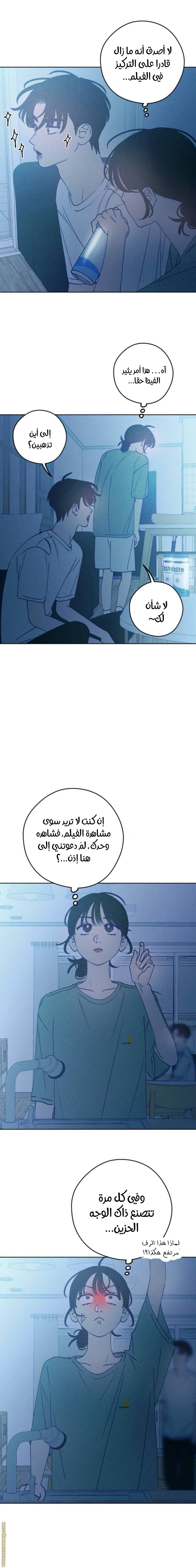 الصفحة 13