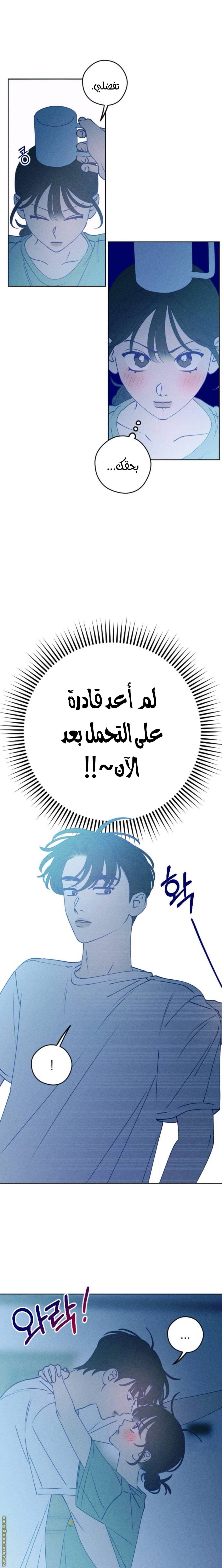 الصفحة 15