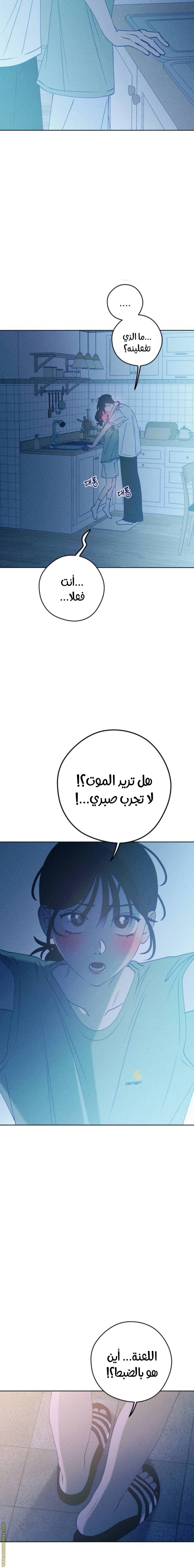الصفحة 16