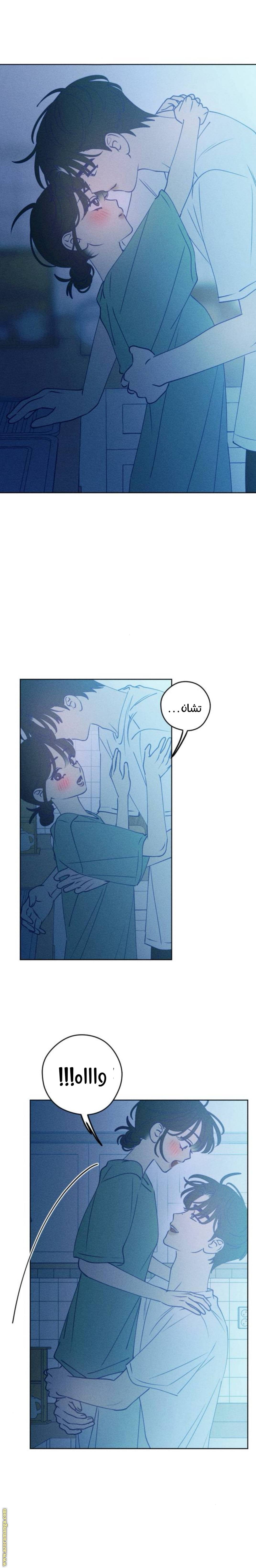 الصفحة 18