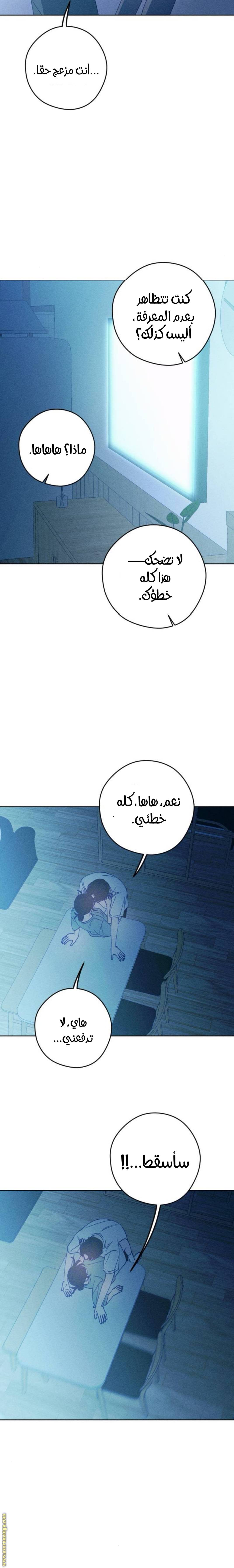 الصفحة 20