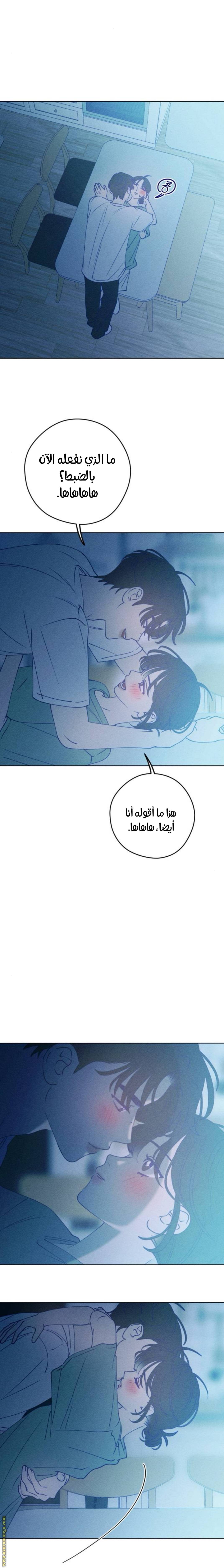 الصفحة 21