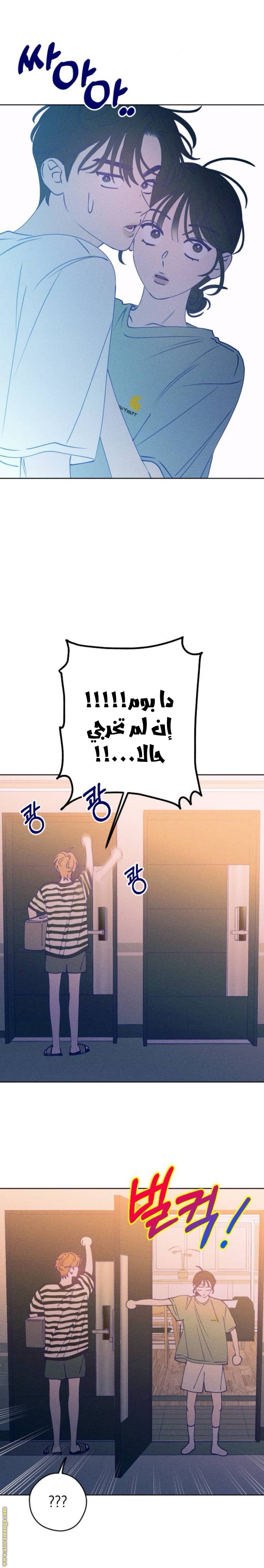 الصفحة 25