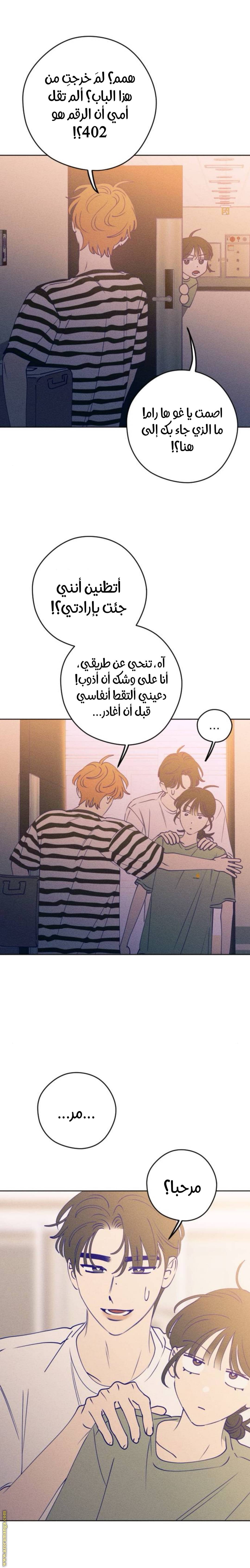 الصفحة 26