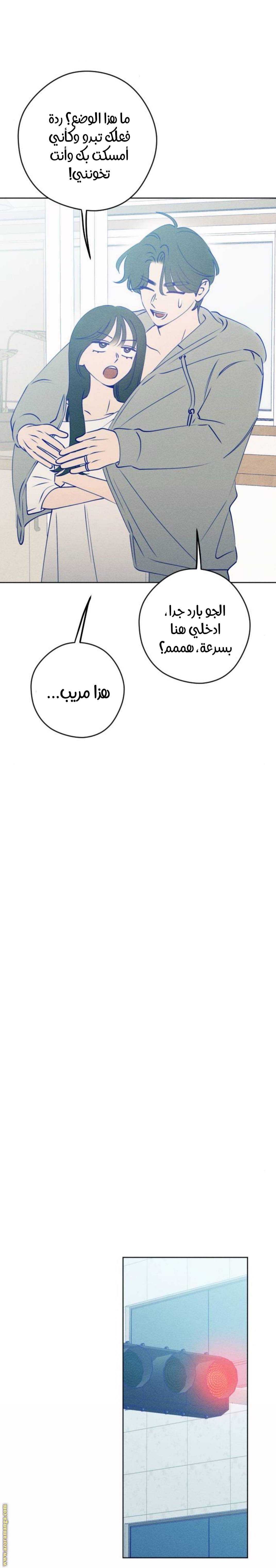 الصفحة 13