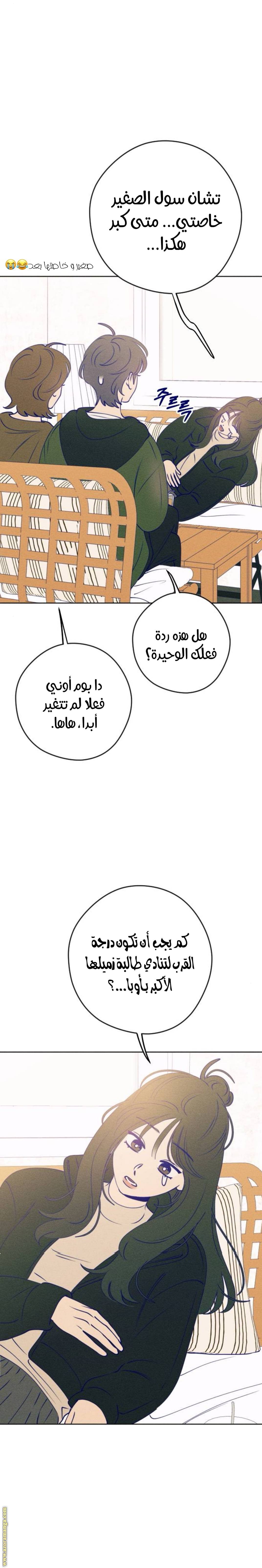 الصفحة 22