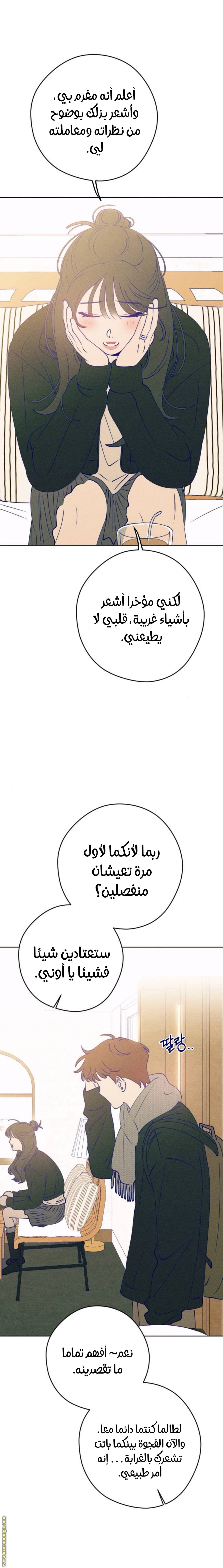 الصفحة 24