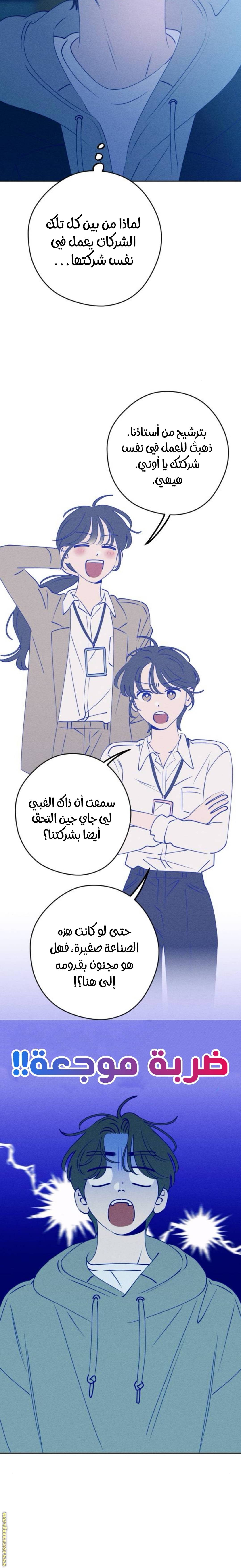 الصفحة 27