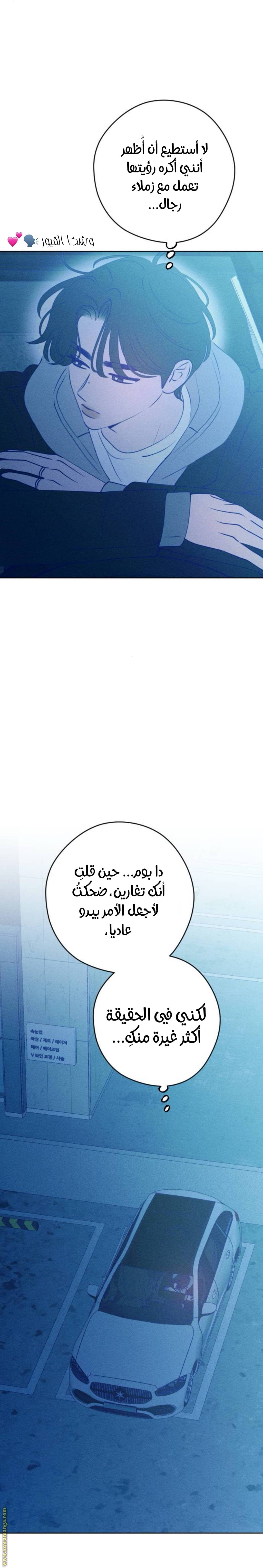 الصفحة 28