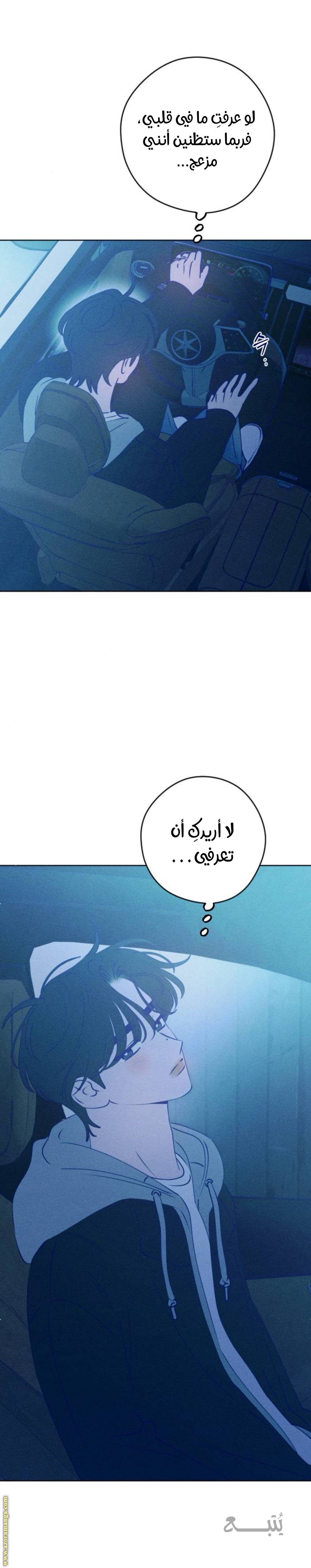 الصفحة 29
