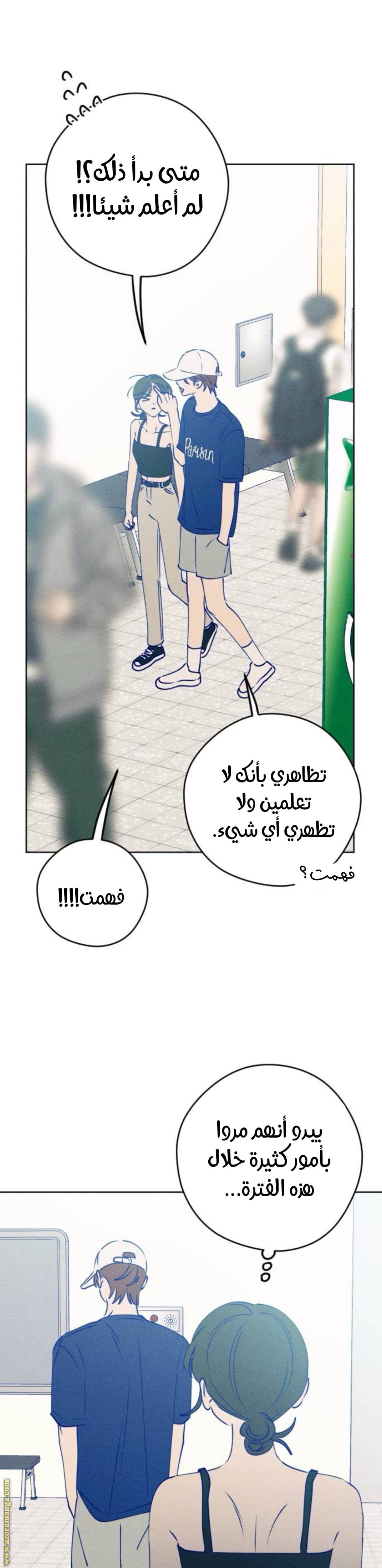الصفحة 13